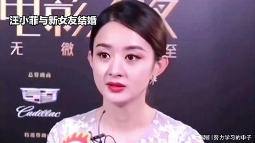 娛樂八卦吃瓜趙麗穎視頻在線觀看,揭秘幕后故事，帶你領(lǐng)略明星風(fēng)采