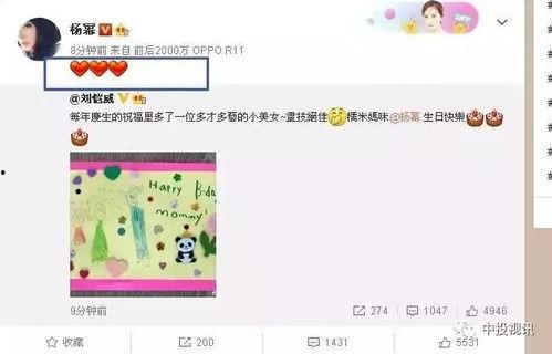 娛樂吃瓜醬生日,生日快樂，揭秘這位娛樂圈“瓜王”的獨(dú)家魅力