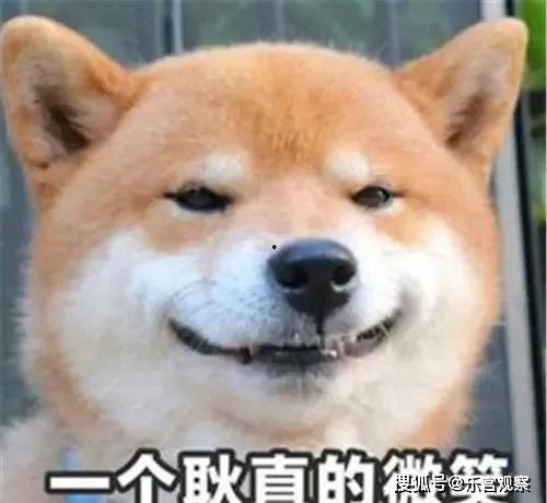 娛樂圈吃瓜的猹,揭秘“吃瓜猹”背后的八卦真相