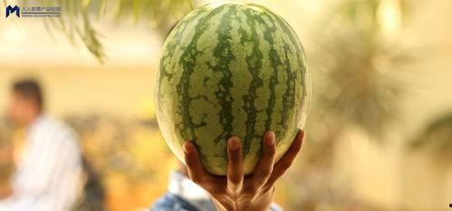 如何吃娛樂圈的瓜,揭秘明星幕后那些事兒