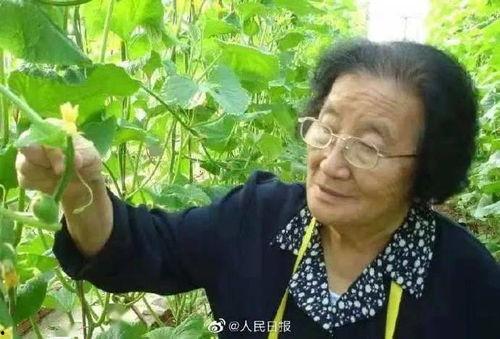 娛樂吃瓜醬不疊被子,揭秘明星不疊被子的秘密生活