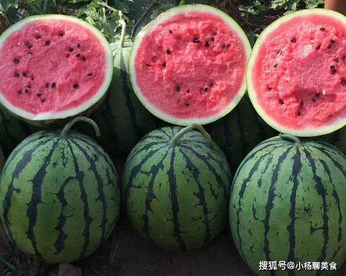 笑不活了娛樂(lè)吃瓜醬,笑不活了！娛樂(lè)吃瓜醬帶你揭秘娛樂(lè)圈那些鮮為人知的幕后故事