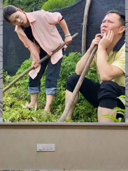 娛樂(lè)八卦一定是吃瓜群眾,揭秘“吃瓜群眾”的娛樂(lè)八卦盛宴