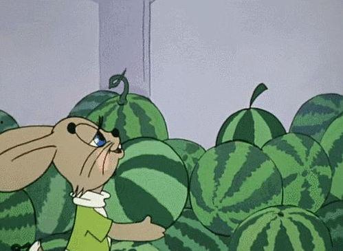 全球吃瓜娛樂,瓜田李下，娛樂盛宴