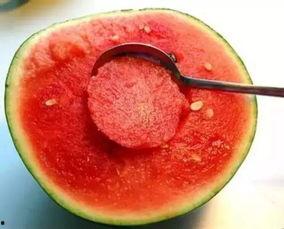 娛樂吃瓜醬美玉視頻大全,美玉視頻大全精彩回顧