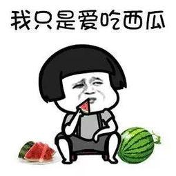 吃?shī)蕵?lè)圈的瓜嗎,揭秘明星幕后故事與精彩瞬間