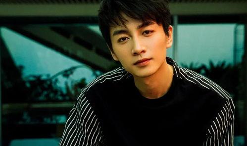 娛樂圈吃瓜情報局陳曉,娛樂圈吃瓜情報局揭秘，明星背后的故事