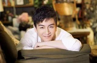 娛樂圈吃瓜情報局陳曉,娛樂圈吃瓜情報局揭秘，明星背后的故事