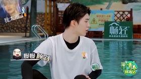 娛樂(lè)圈吃瓜楊迪,娛樂(lè)圈吃瓜達(dá)人，揭秘幕后故事