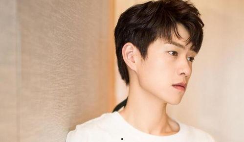 吃瓜娛樂圈任豪,娛樂圈的瓜田新秀，星光璀璨的蛻變之路