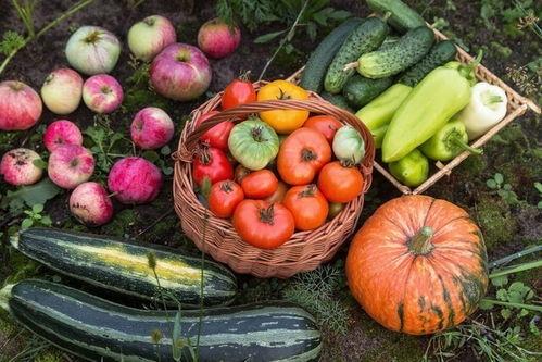 娛樂園吃瓜,揭秘明星幕后故事