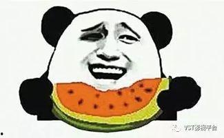 娛樂(lè)圈吃瓜系統(tǒng)雕動(dòng)畫(huà),揭秘明星幕后故事