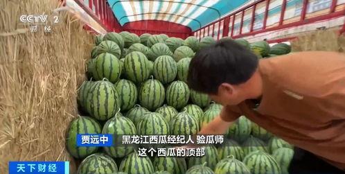 娛樂圈吃瓜直播間甘藍(lán),甘藍(lán)帶你揭秘明星幕后故事