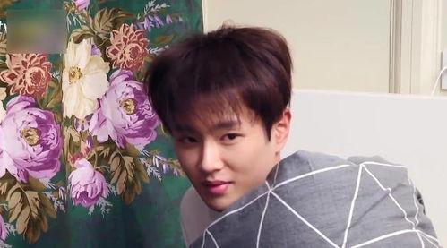 娛樂圈吃瓜李宏毅是誰啊,揭秘他的明星之路