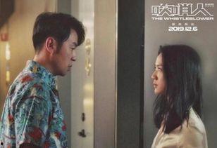 娛樂吃瓜小故事視頻播放,熱門視頻背后的故事