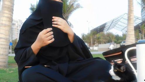 娛樂圈吃瓜君七七,揭秘明星背后的秘密與八卦