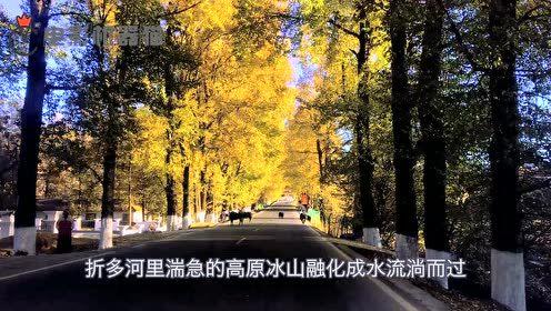 娛樂(lè)吃瓜君別墅,揭秘隱藏在豪宅背后的奢華生活