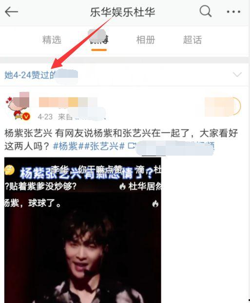 娛樂(lè)吃瓜視頻模板,明星幕后故事大揭秘，吃瓜群眾必看！