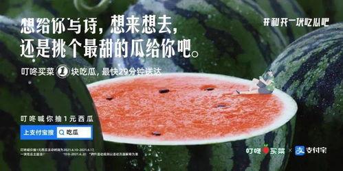 娛樂(lè)圈文案吃瓜,揭秘明星們的“吃瓜”大作戰(zhàn)