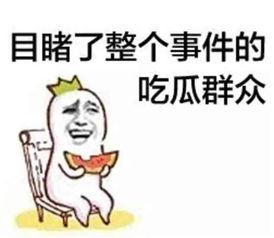 娛樂吃瓜蜀黍廣告語是什么,揭秘娛樂圈那些事兒