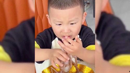 娛樂(lè)吃瓜醬小男孩,揭秘娛樂(lè)圈背后的故事