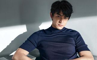 娛樂圈吃瓜爆料林更新,娛樂圈爆料背后的真相與爭議