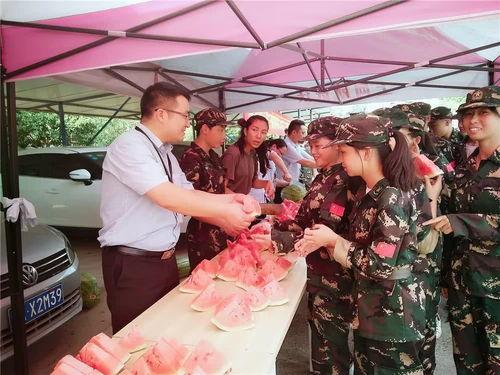 娛樂群吃瓜群眾,吃瓜群眾的熱議焦點