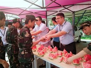 娛樂群吃瓜群眾,吃瓜群眾的熱議焦點