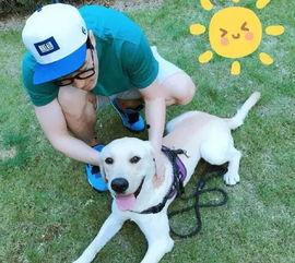 娛樂圈吃瓜小狗小說免費閱讀,吃瓜小狗的甜蜜復仇之旅