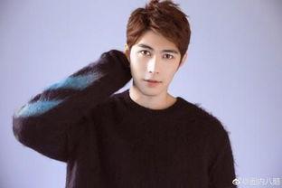 陳學(xué)冬娛樂圈吃瓜事件,真相與爭(zhēng)議并存