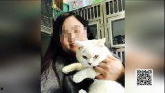 娛樂吃瓜醬小貓坐公交車,萌寵坐公交，趣味橫生一幕