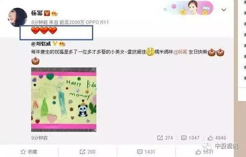 娛樂(lè)吃瓜醬過(guò)生日,星光熠熠，歡樂(lè)滿溢