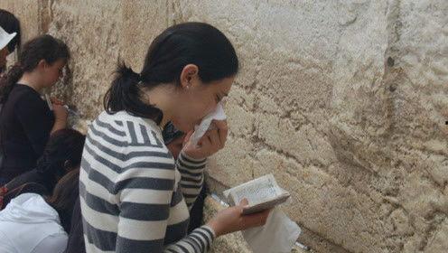 娛樂(lè)吃瓜君粉絲