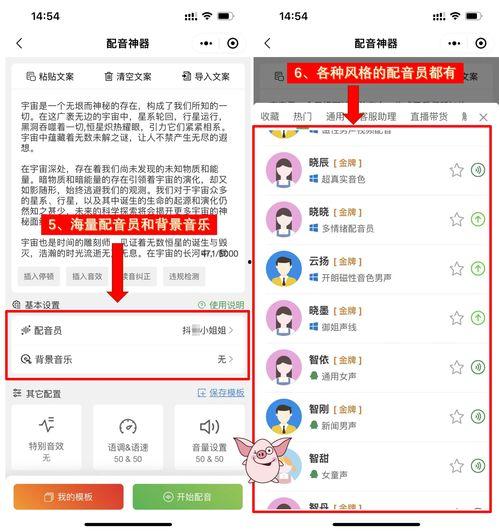 娛樂吃瓜音效軟件哪個好,哪個是你的最佳選擇？