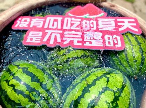 娛樂(lè)場(chǎng)所日常吃瓜,揭秘日常吃瓜背后的故事與真相