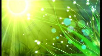 娛樂吃瓜視頻背景素材