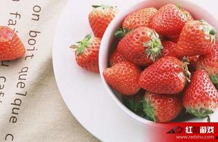 娛樂(lè)吃瓜醬草莓視頻下載,娛樂(lè)吃瓜醬帶你輕松獲取熱門(mén)娛樂(lè)內(nèi)容