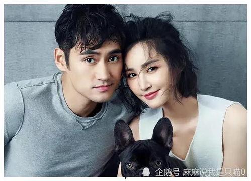 吃瓜明星娛樂(lè)圈百度云下載,揭秘?zé)衢T(mén)下載背后的故事