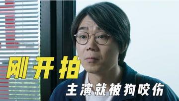 娛樂吃瓜君投票,最受歡迎明星榜單大揭秘！