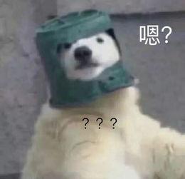 羊了個(gè)羊吃瓜娛樂(lè),吃瓜娛樂(lè)背后的網(wǎng)絡(luò)狂歡