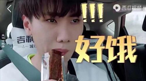 愛(ài)豆吃瓜娛樂(lè)醬肖宇梁,愛(ài)豆吃瓜娛樂(lè)醬，揭秘娛樂(lè)圈幕后故事