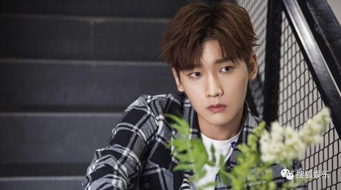 愛(ài)豆吃瓜娛樂(lè)醬肖宇梁,愛(ài)豆吃瓜娛樂(lè)醬，揭秘娛樂(lè)圈幕后故事