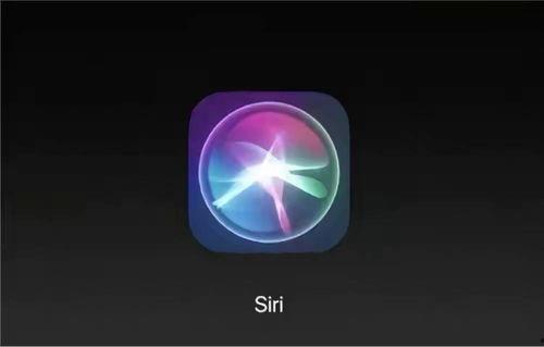 娛樂(lè)718.吃瓜ios,揭秘“吃瓜iOS”背后的熱門話題與趣味瞬間