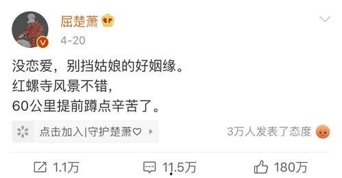 娛樂吃瓜博主文案短句,吃瓜博主短句背后的驚人真相