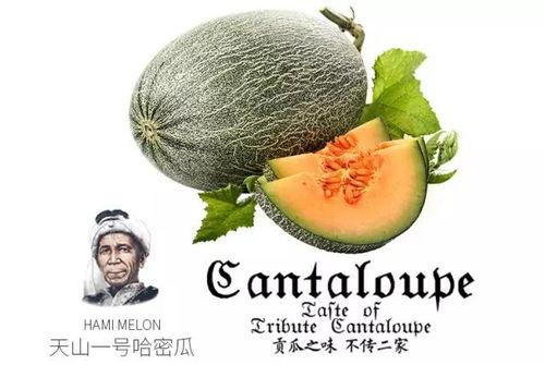 娛樂吃瓜配樂推薦一下,盤點(diǎn)熱門配樂推薦