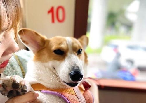 熱門八卦娛樂吃瓜搞笑,笑料百出，八卦連連，揭秘明星幕后趣事