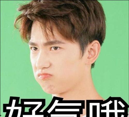 娛樂吃瓜張小寒,娛樂吃瓜界的風(fēng)云人物