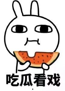 娛樂吃瓜醬內(nèi)向,內(nèi)向者的快樂生活指南