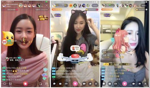 娛樂吃瓜醬畢業(yè)工作,畢業(yè)季的職場初體驗(yàn)