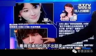 娛樂(lè)吃瓜蜀黍廣告視頻在線觀看,揭秘?zé)衢T廣告視頻，帶你領(lǐng)略網(wǎng)絡(luò)娛樂(lè)新風(fēng)尚